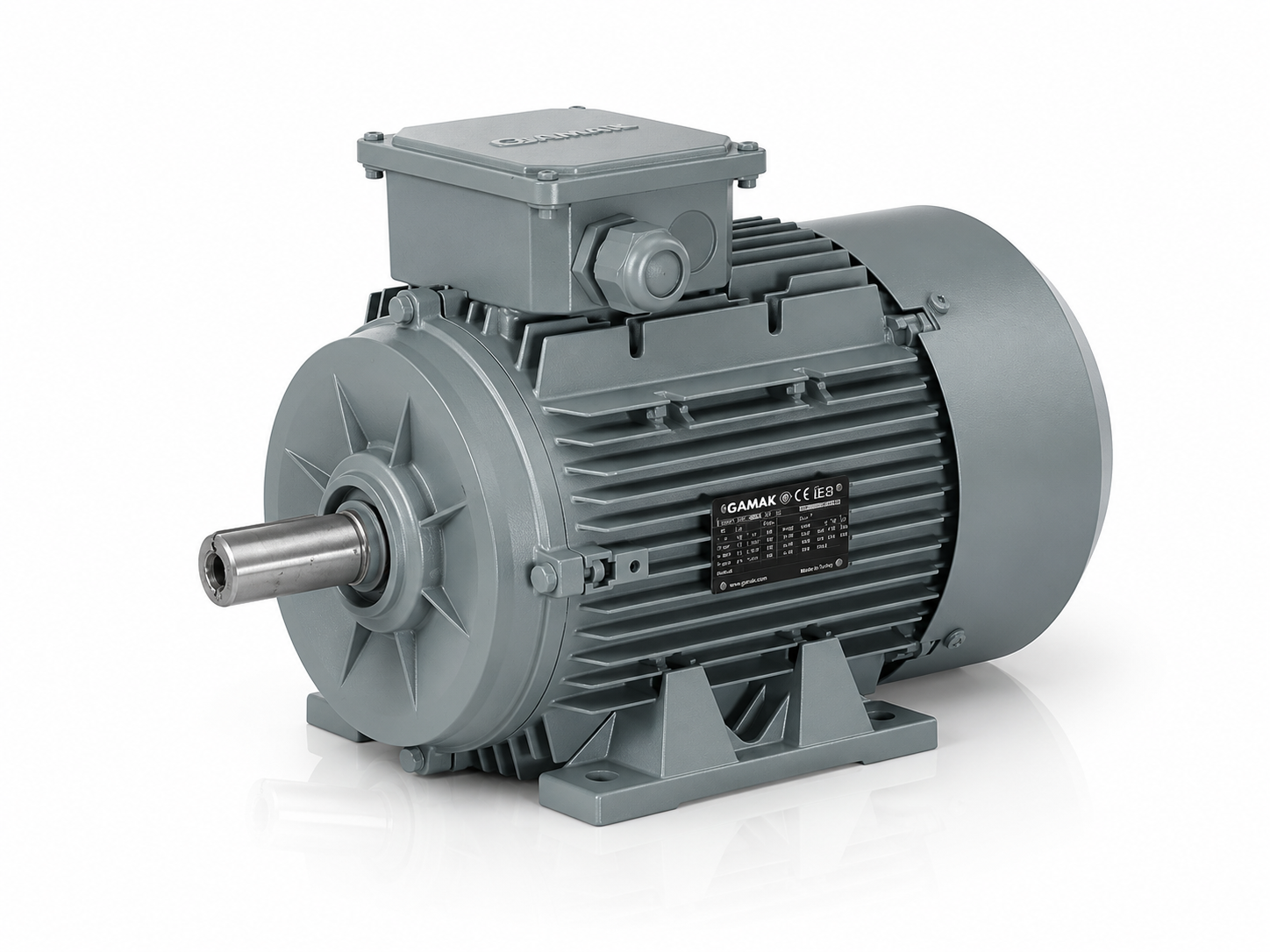 5.5kW Motor